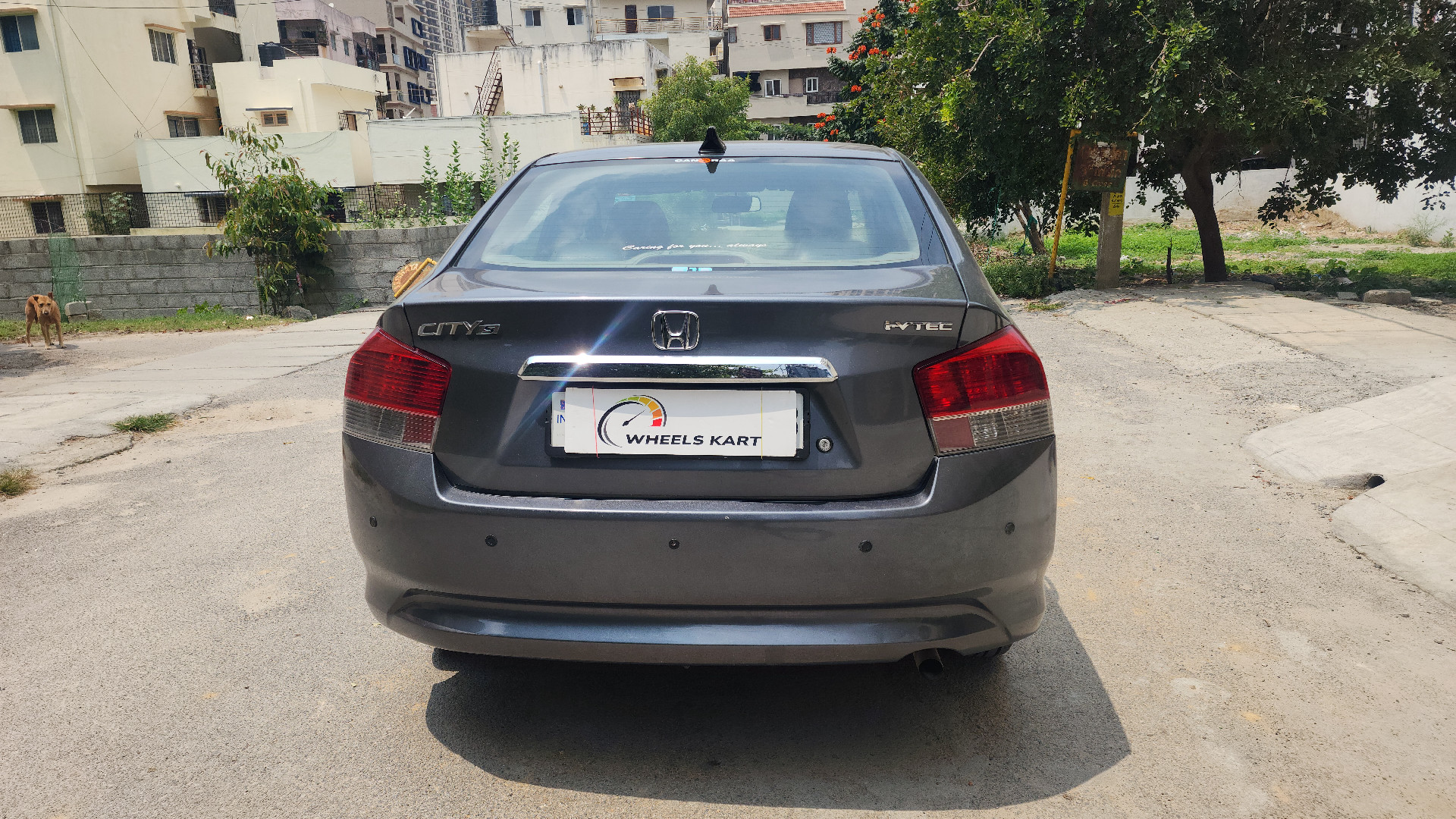 Rear