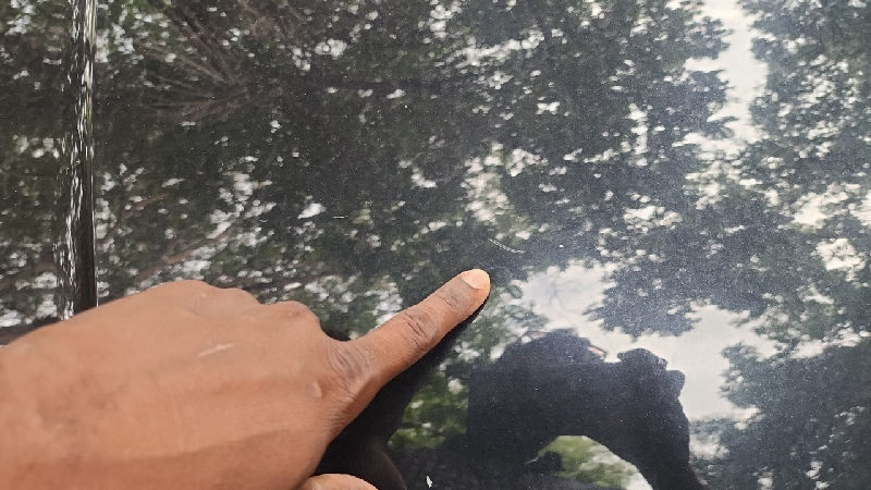 Bonnet / Hood Panel Condition