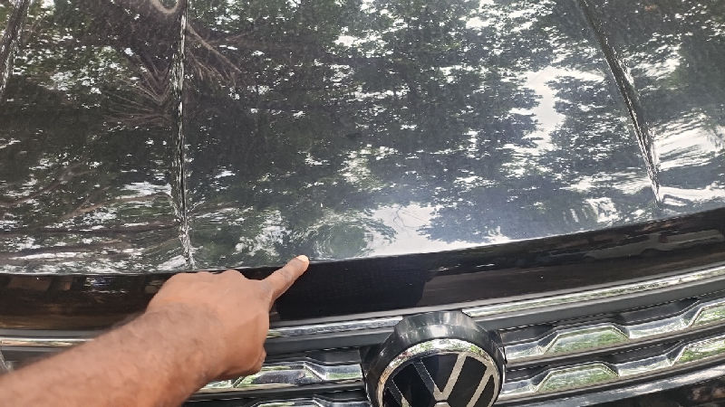 Bonnet / Hood Panel Condition