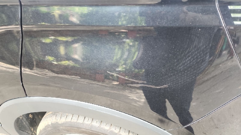 Left Rear Quarter Panel Condition