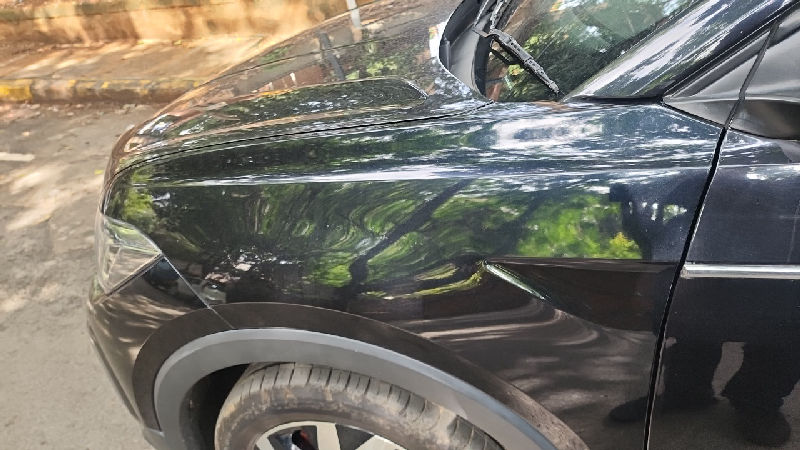 Left Front Fender Condition