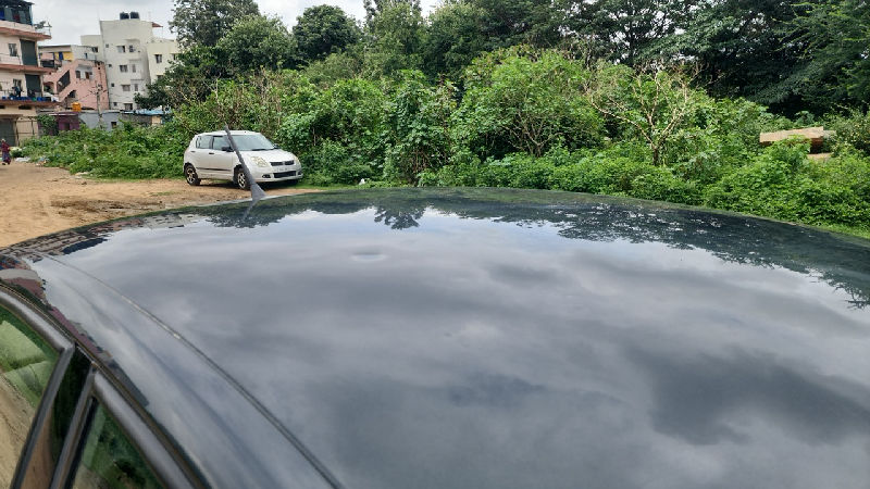 Roof Panel Condition