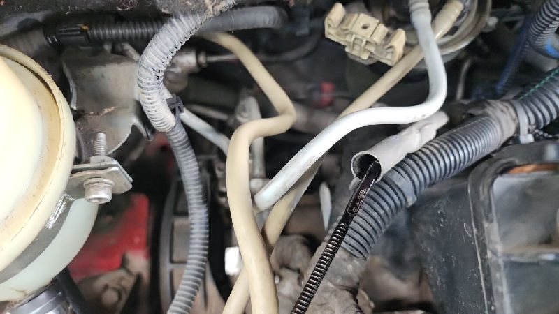 Engine Oil & level