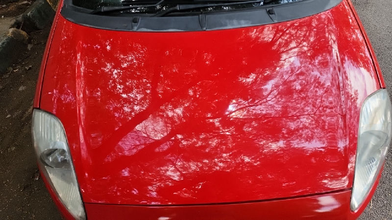 Bonnet Hood