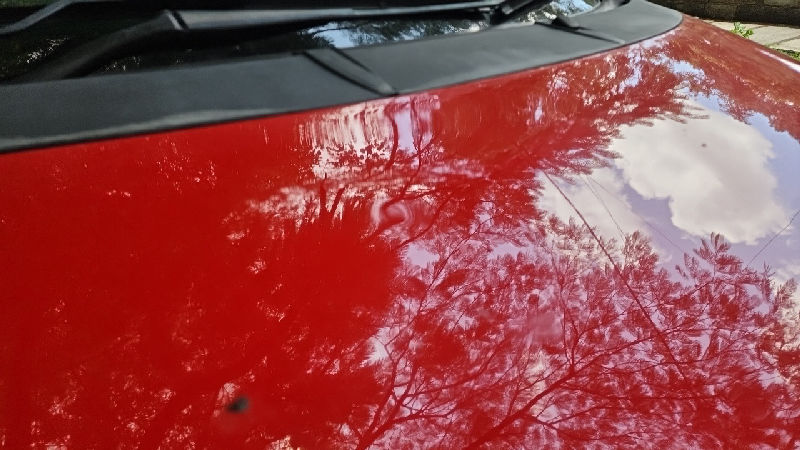 Bonnet Hood
