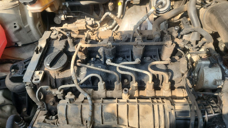 Visible Fluid Leaks in the Engine Bay