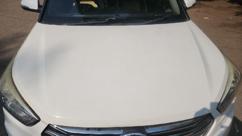 Bonnet / Hood Panel Condition