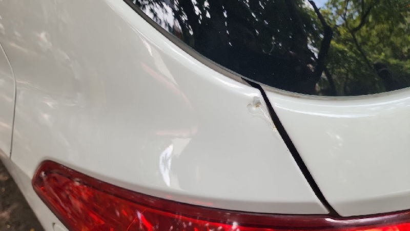 Left Rear Quarter Panel Condition