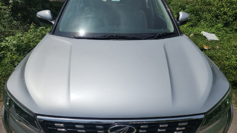 Bonnet / Hood Panel Condition