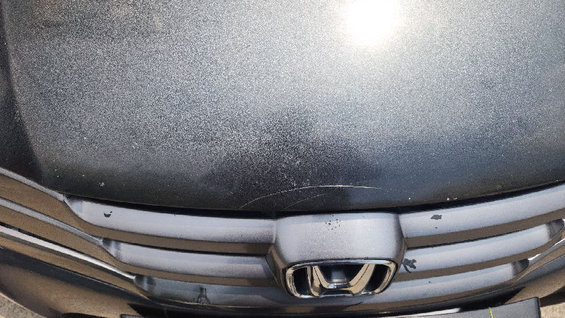 Bonnet / Hood Panel Condition