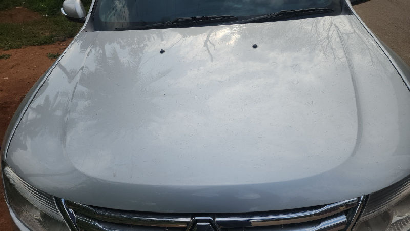 Bonnet / Hood Panel Condition